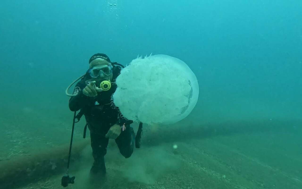 Antalyalı Balıkçıların Kabusu Oldu 11